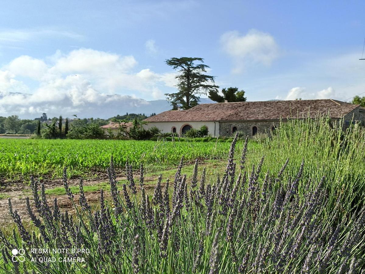 Bed and Breakfast La Boheme Charols Exterior foto